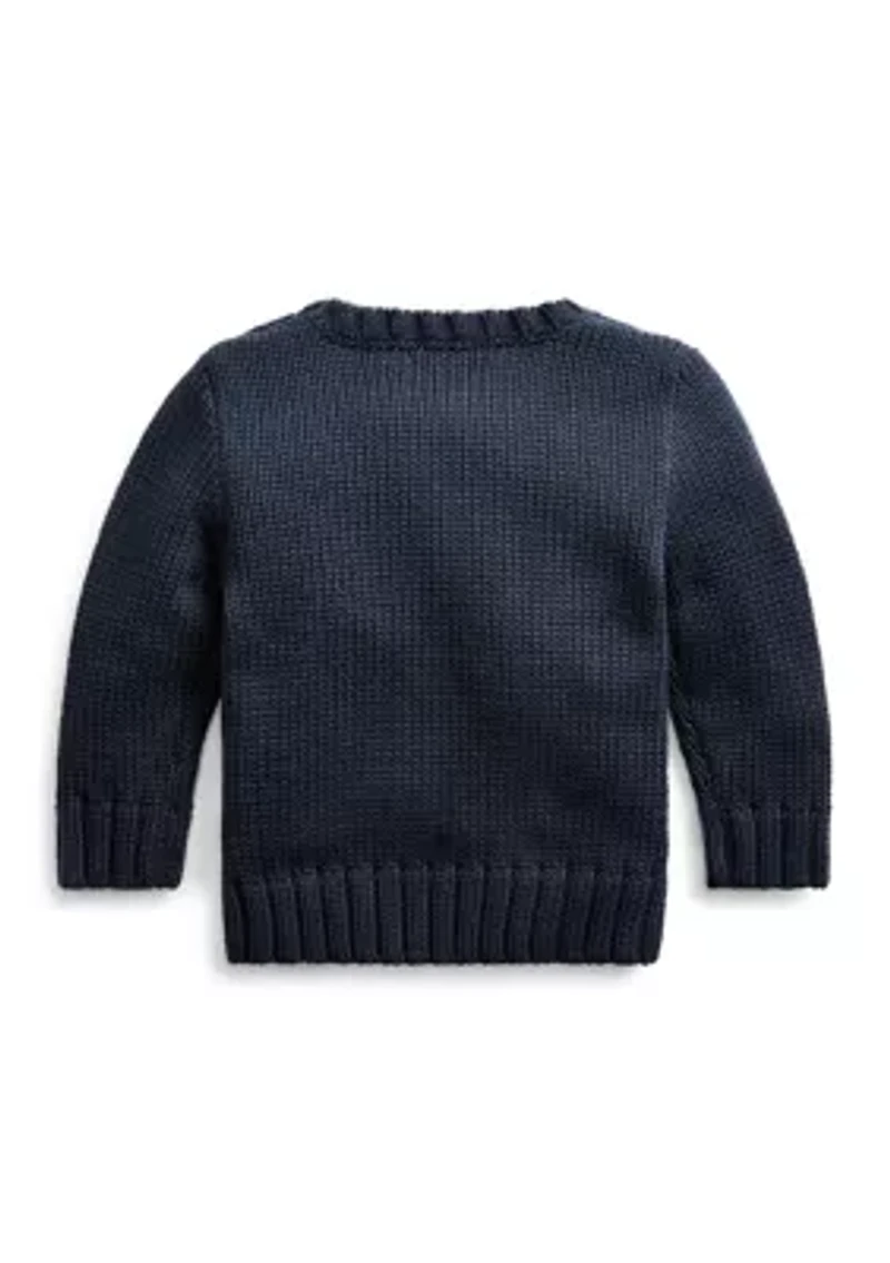 Baby Boys The Iconic Flag Sweater