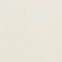 Baby Boys Cotton Jersey Crew Neck T-Shirt