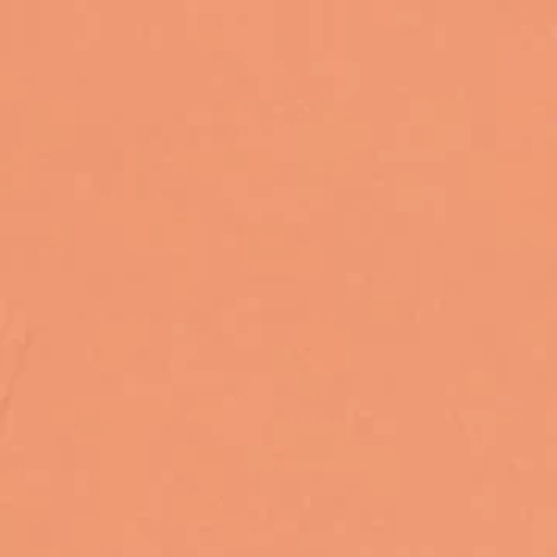 Baby Boys Traveler Swim Trunk