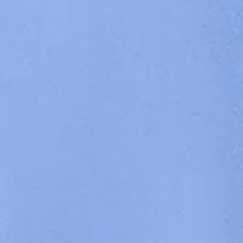 Baby Boys Dog Print Rash Guard Shortall