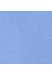 Baby Boys Dog Print Rash Guard Shortall