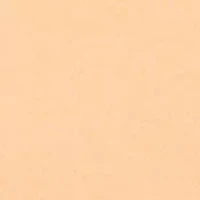 Baby Boys Polo Bear Henley Shirt & Mesh Shorts Set