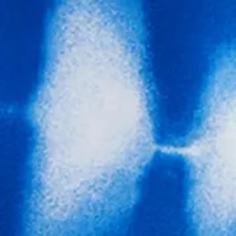 Baby Boys Traveler Swim Trunks