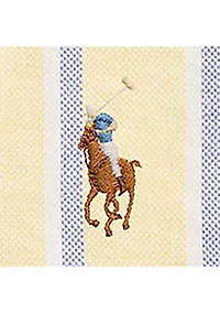 Baby Boys Striped Cotton Oxford Shirt & Short