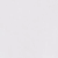 Baby Boys Polo Bear Soft Cotton Shirt & Short