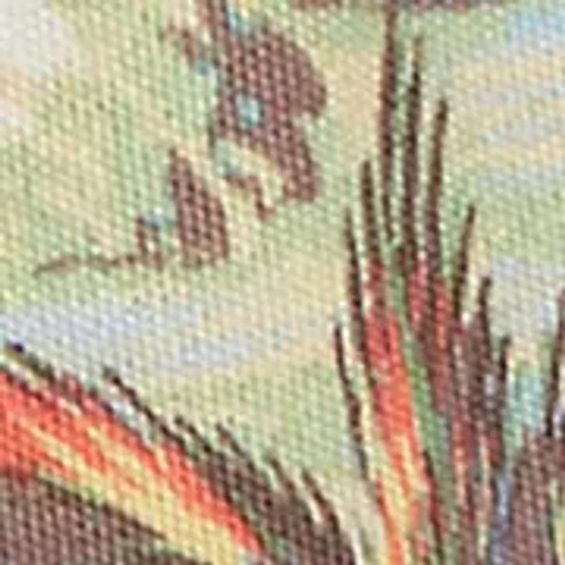 Toddler Boys Tropical Print Spa Terry Shorts