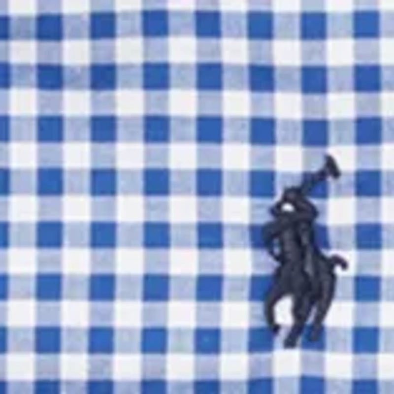 Boys 2-7 Cotton Poplin Sport Shirt