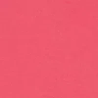 Baby Girls 2-Piece Hoodie Set