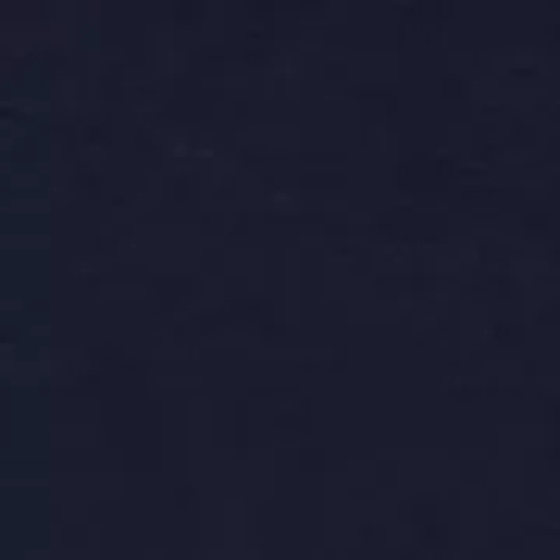 Toddler Boys Fleece Jogger Set