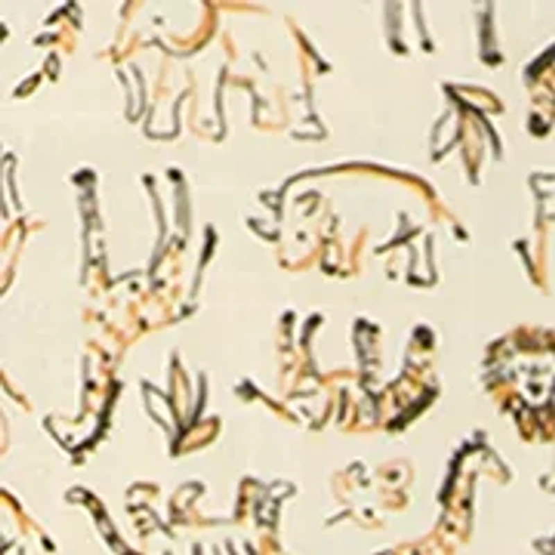 Baby Boys Shorts Set