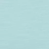 Toddler Boys 2-Piece Shirt and Shorts Set