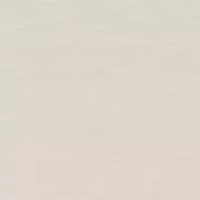 Toddler Boys 2-Piece Shirt and Shorts Set