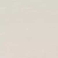 Toddler Boys 2-Piece Shirt and Shorts Set