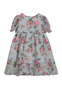Toddler Girls Empire Waist Floral Printed Chiffon Dress