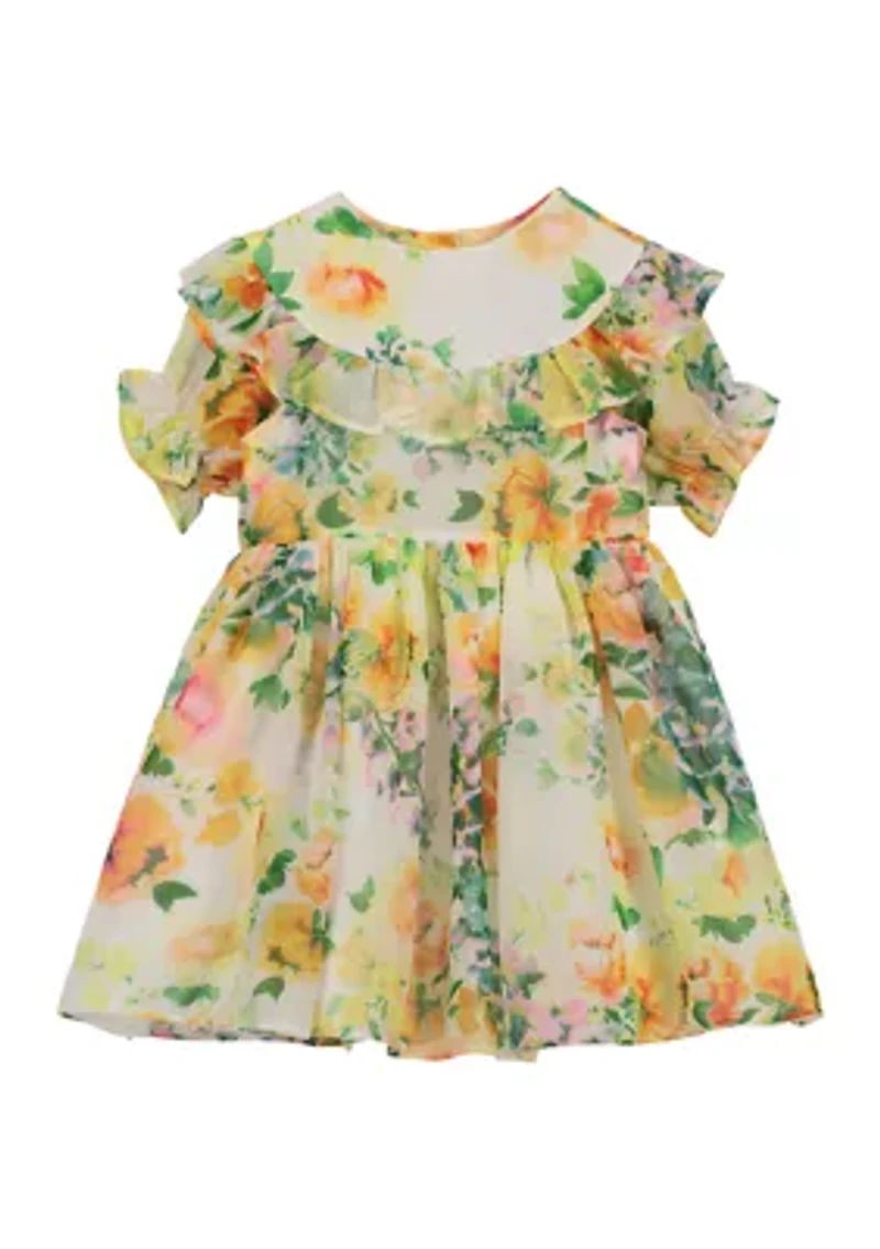 Baby Girls Ruffle Yoke Floral Printed Chiffon Dress
