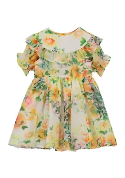 Baby Girls Ruffle Yoke Floral Printed Chiffon Dress