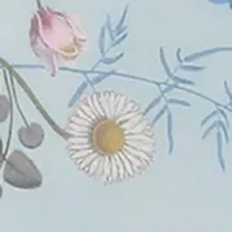 Baby Girls Floral Printed Fit and Flare Dress