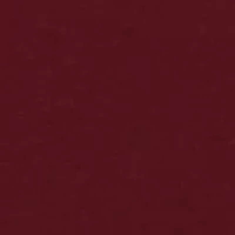 Toddler Boys Fleece Hoodie and Pants Set