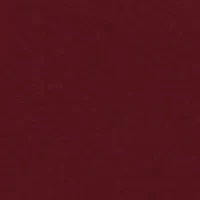 Toddler Boys Fleece Hoodie and Pants Set