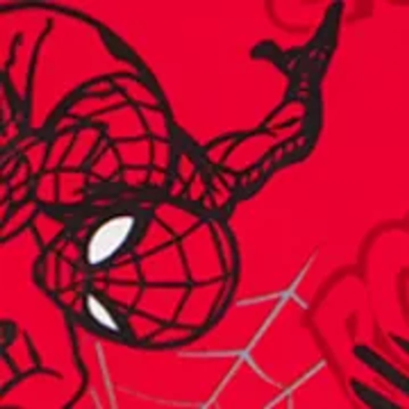 Toddler Boys Spider-Man Pajama Shirt and Pants Set