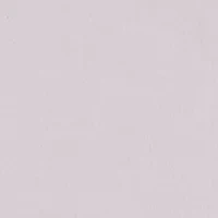 Baby Girls Shirt and Shorts Set