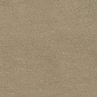 Toddler Boys Camo T-Shirt and Shorts Set