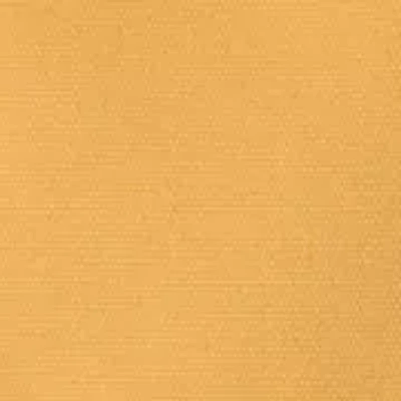 Toddler Boys Faux Fur Hooded Jacket