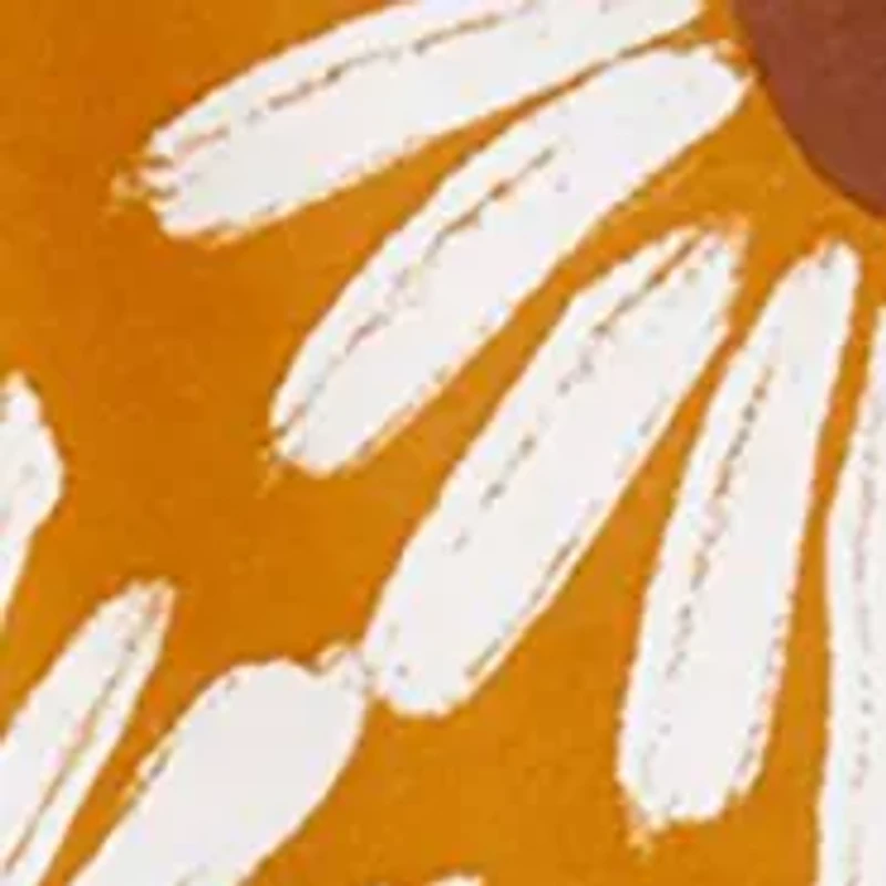 Baby Girls 3 Piece Multi Floral Set