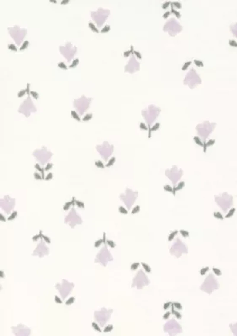 Baby Girls Koala Bear 3-Piece Set