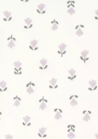 Baby Girls Koala Bear 3-Piece Set