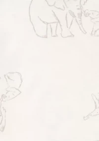 Baby Girls Ribbed Set