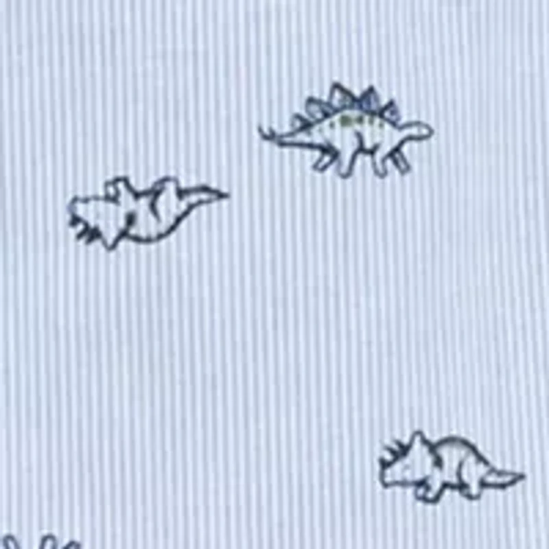 Baby Boys Dinosaur Printed Shirt and Pants Set