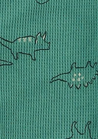 Toddler Boys Dinosaur Printed Thermal Footie Pajamas