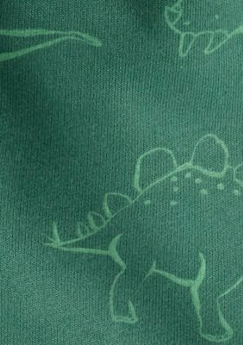 Baby Boys Dinosaur Set