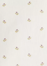 Baby Girls Jumper Set