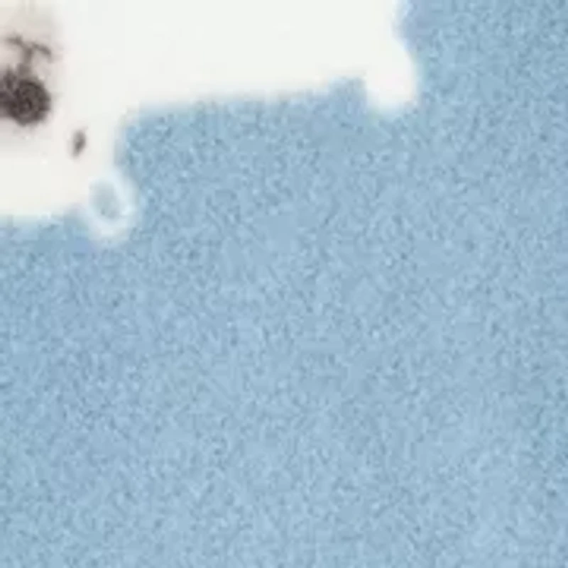 Baby Boys Printed Fleece Footie Pajamas