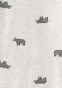 Baby Girls Bear Printed Bodysuit and Jacket Set