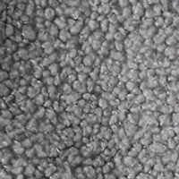 This 3-piece set does the layering for you-no styling degree required. With a soft cotton bodysuit, cozy boucle vest, and easy pull-on pants, it’s built everyday adventures spontaneous photo ops. heart pockets on vest dial up charm without trying too hard, while sweet floral print adds pop under all that grey. One outfit, lots of ways to wear.