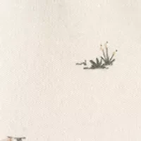 Baby Easter Bunny Footie Pajamas