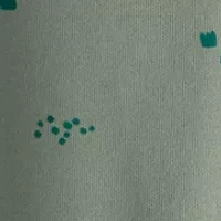 Baby Boys Dinosaur Footsie Pajamas