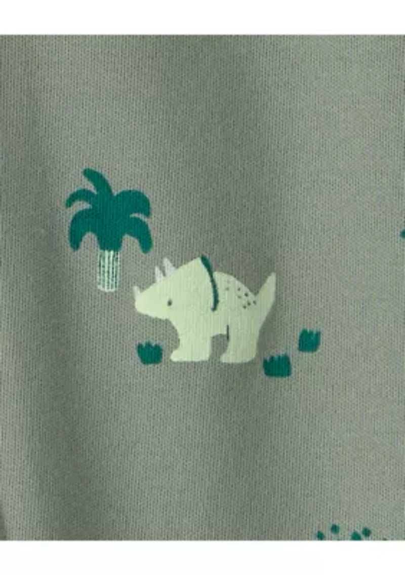 Baby Boys Dinosaur Footsie Pajamas