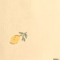 Baby Girls Lemon 3 Piece Set