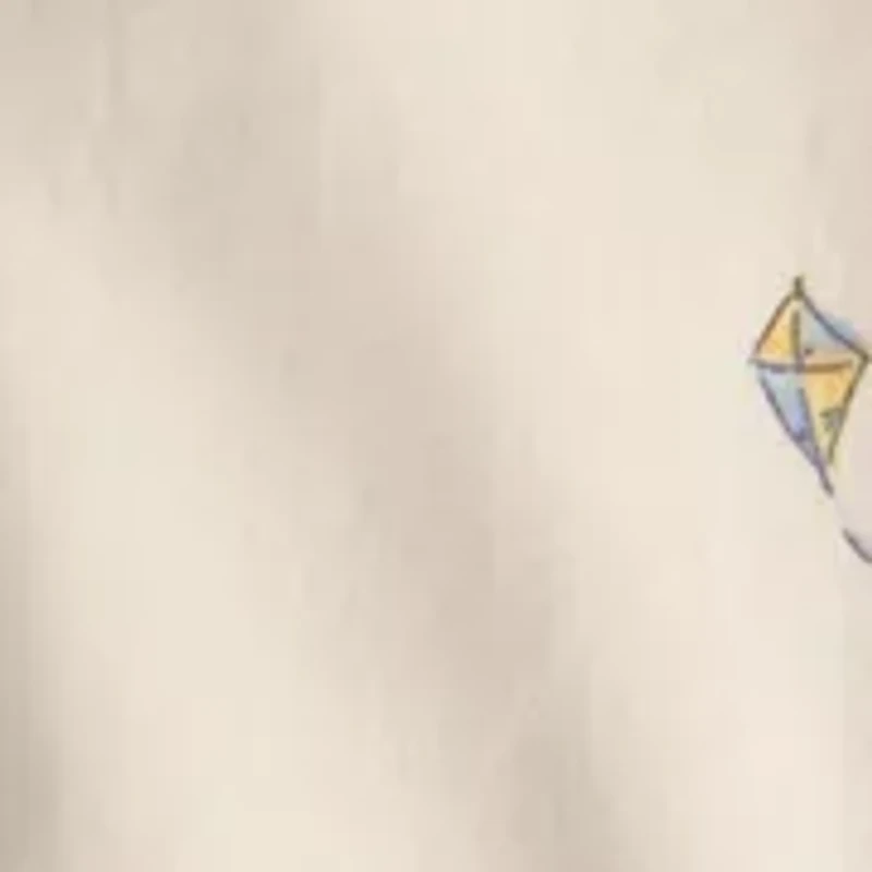 Baby Boys Shirt and Shorts Set