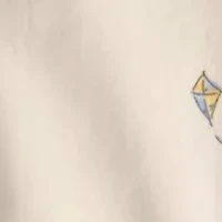 Baby Boys Shirt and Shorts Set