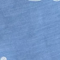 Baby Boys Two Piece Shirt and Short Set