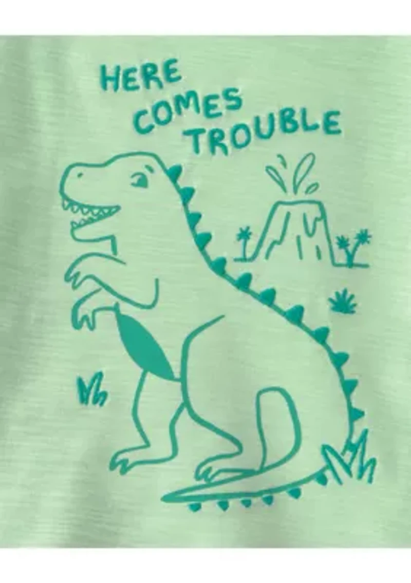 Baby Boys Dinosaur Graphic Shirt and Shorts Set