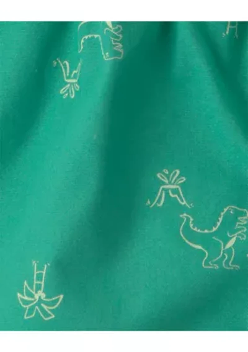 Baby Boys Dinosaur Graphic Shirt and Shorts Set