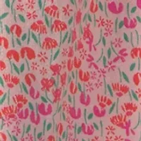 Baby Girls Floral Shirt and Shorts Set