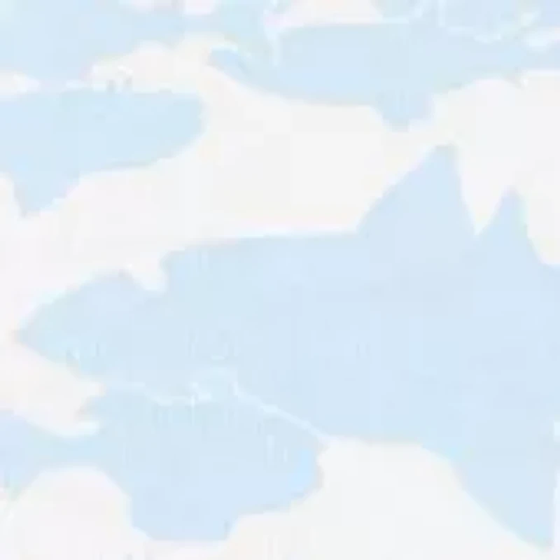 Baby Boys Sleeveless Fish Printed Shirt and Shorts Set