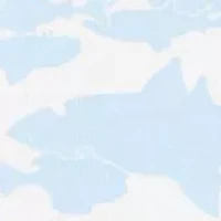 Baby Boys Sleeveless Fish Printed Shirt and Shorts Set